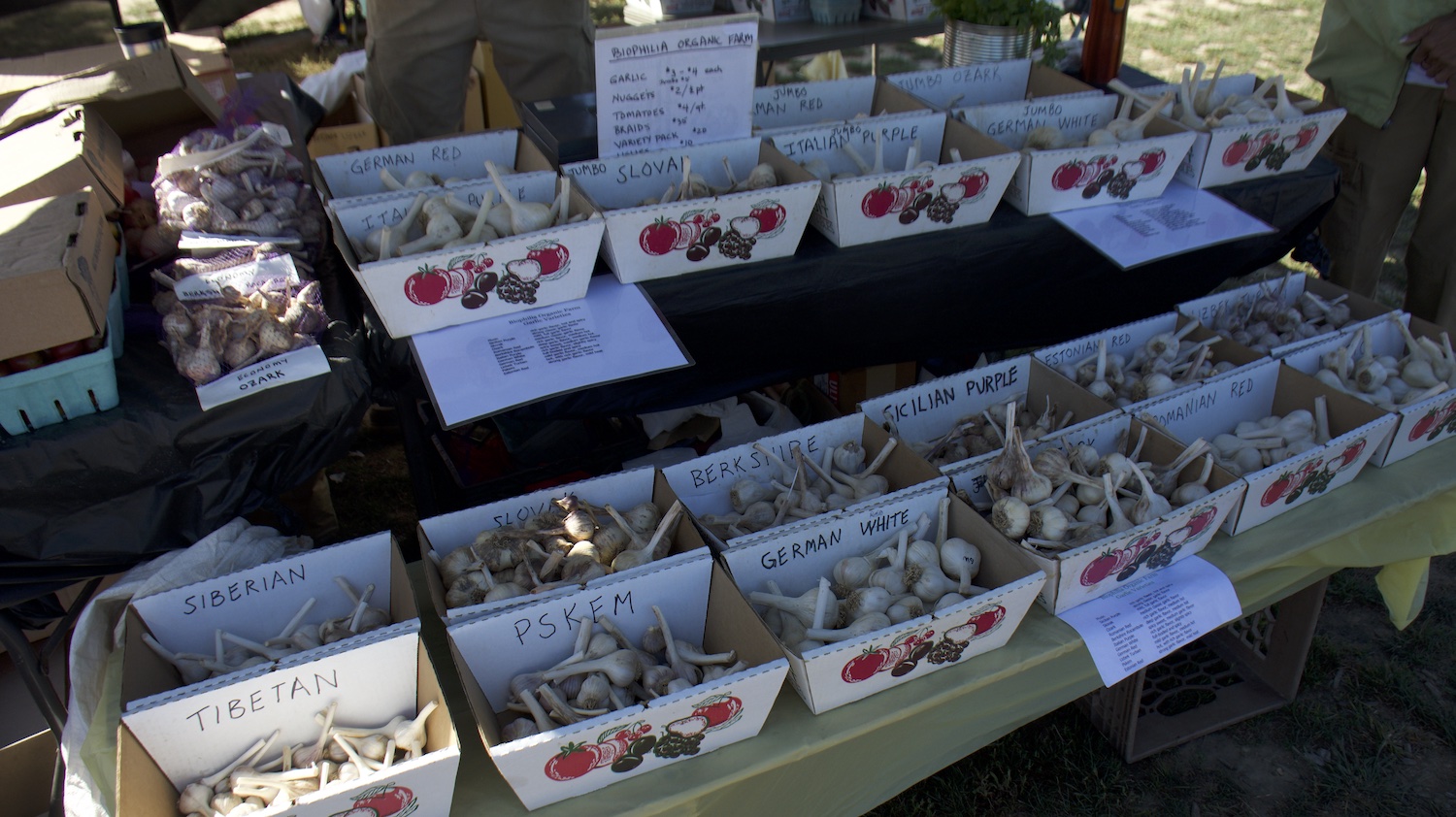 New Location For Long Island Garlic Festival at Waterdrinker Farm This