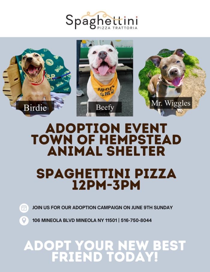 Adoption Event For Town of Hempstead Animal Shelter Long Island