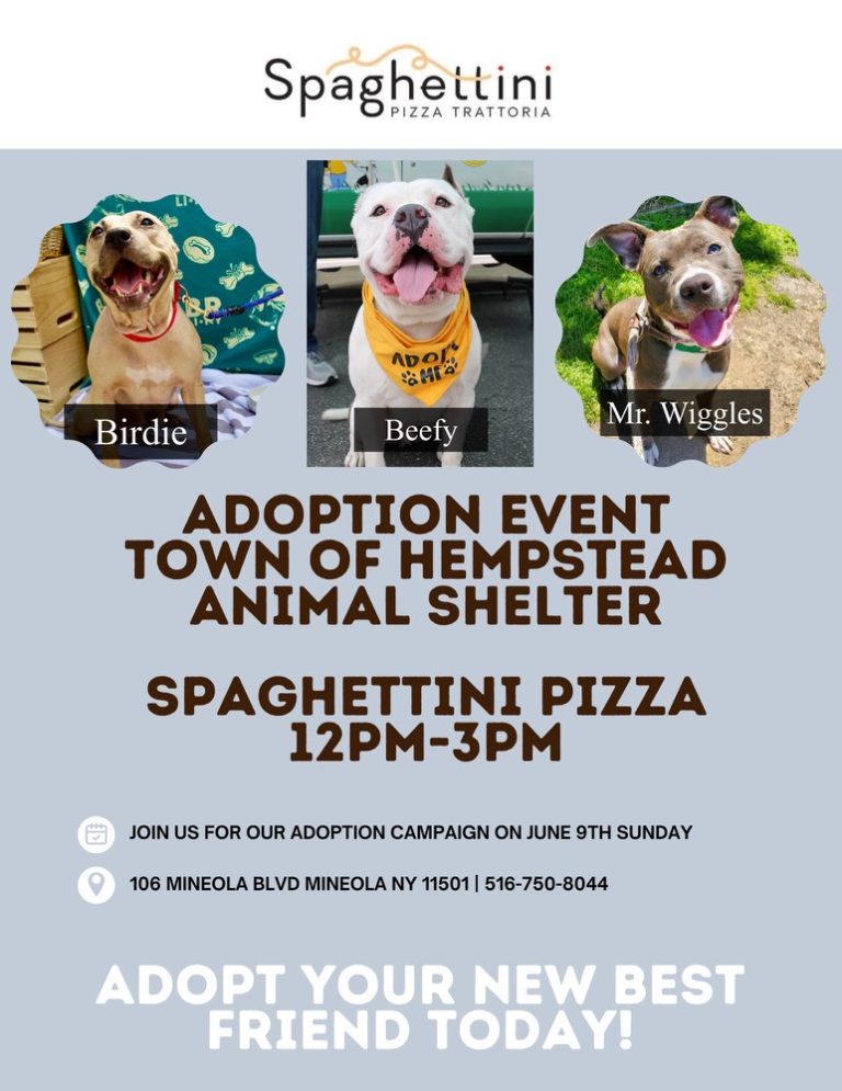 Adoption Event For Town Of Hempstead Animal Shelter Long Island Adoption event for town of hempstead animal shelter long island